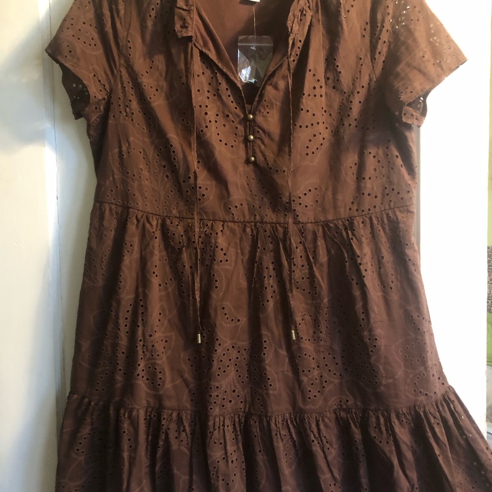 Joie Chocolate brown Eyelet Dress